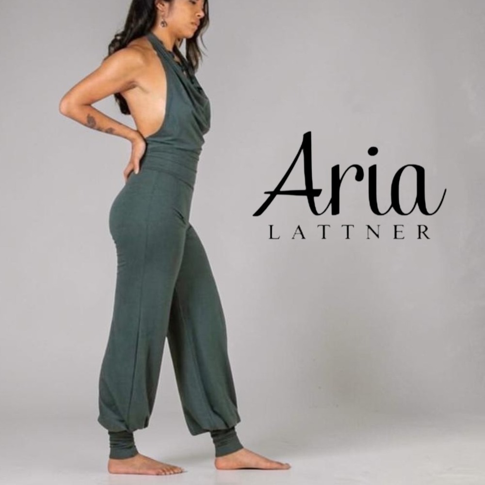 Aria Lattner Womens Organic Bamboo Cotton Harem Jumpsuit Green XL